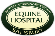 Endal Equine Clinic logo